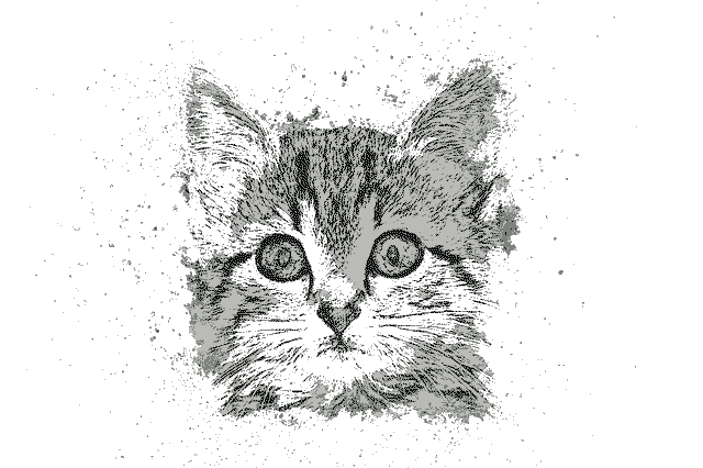 Katze