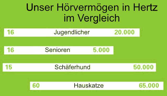 Diese Frequenzen kann ein Mensch hören