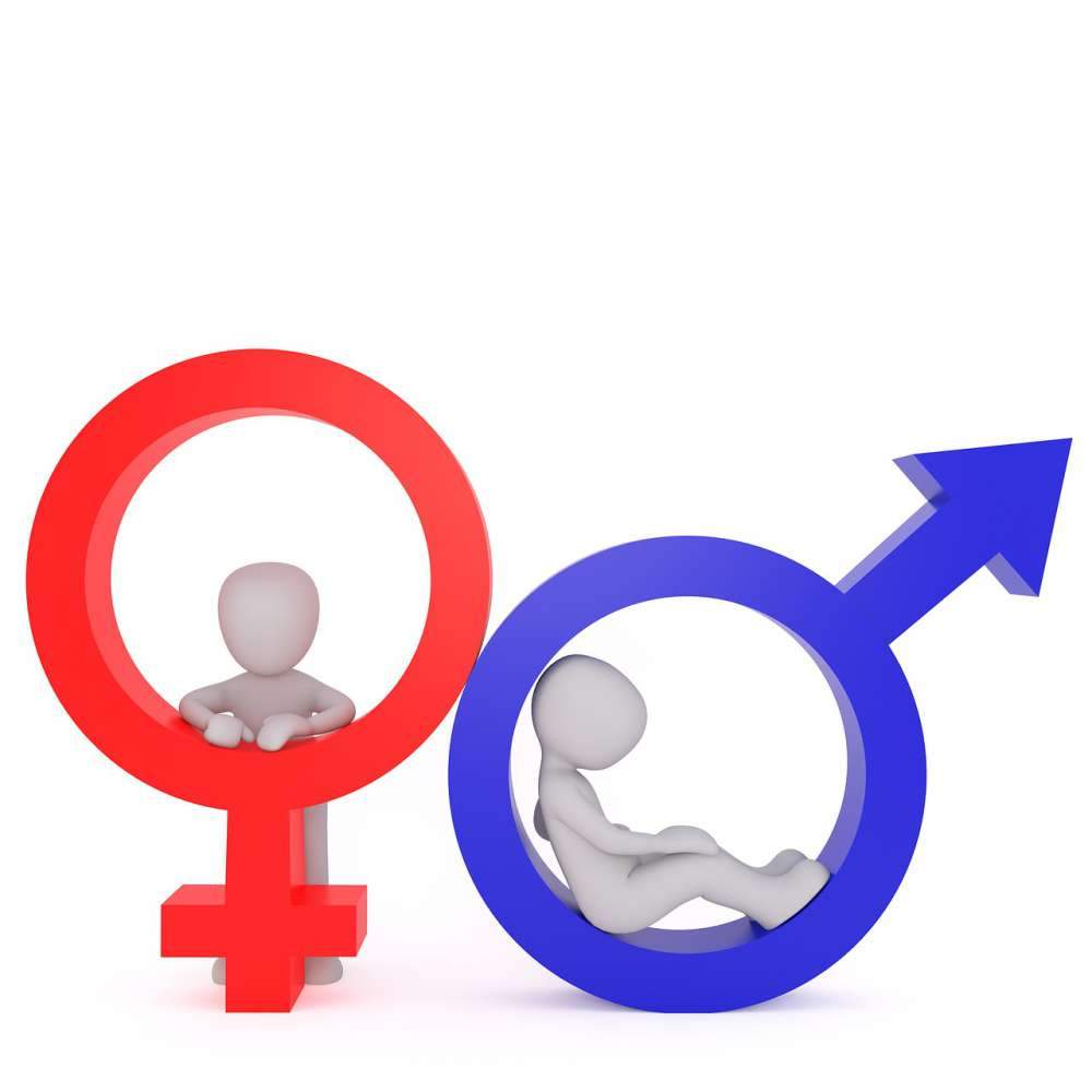 gender 1543313932