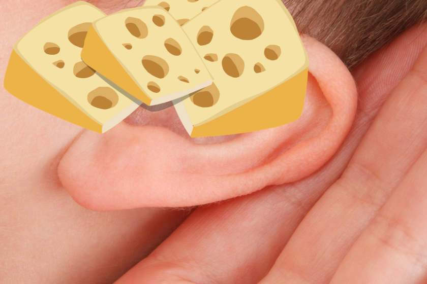 Heilpraktiker: Käse kann Ihre Ohren töten!