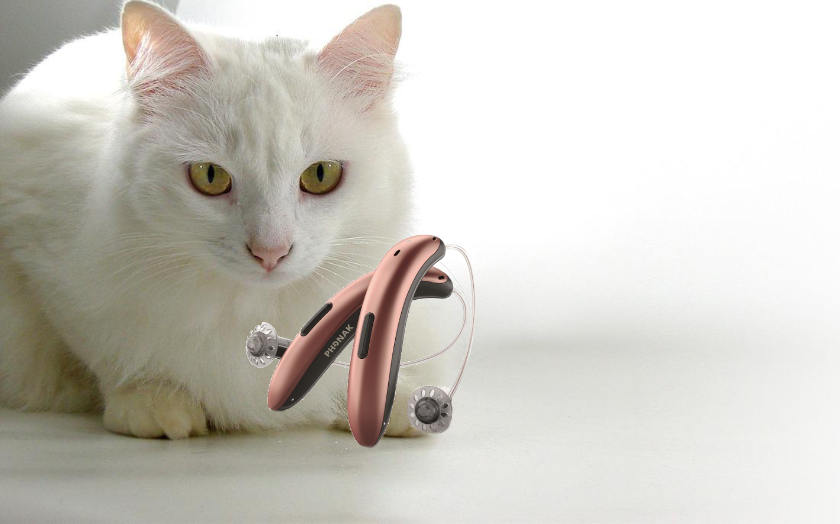 phonak slim tt