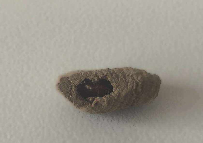 Welches Zubehörteil ist das?