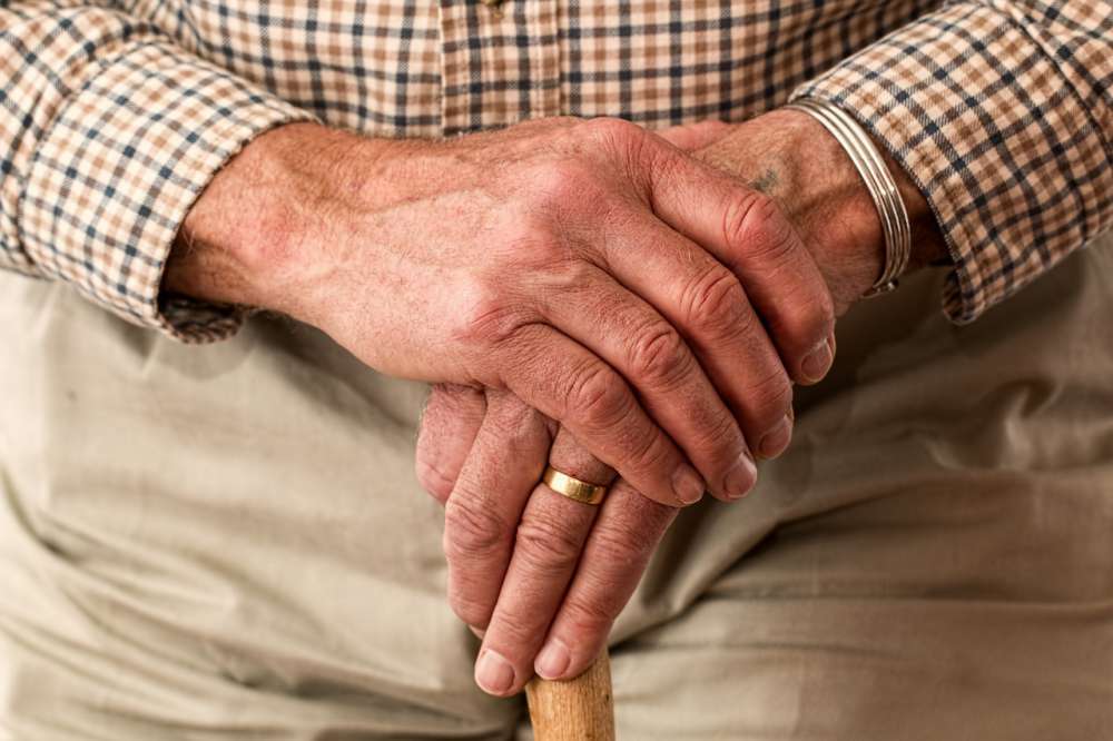 senior 1540200738