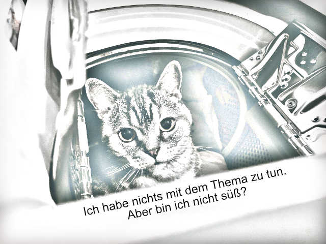 Wann kommen den jetzt die Hörgeräte in den Trockner?